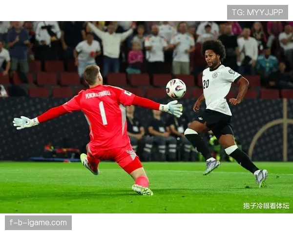 格纳布里射门区域分析：高效进攻背后的秘密武器